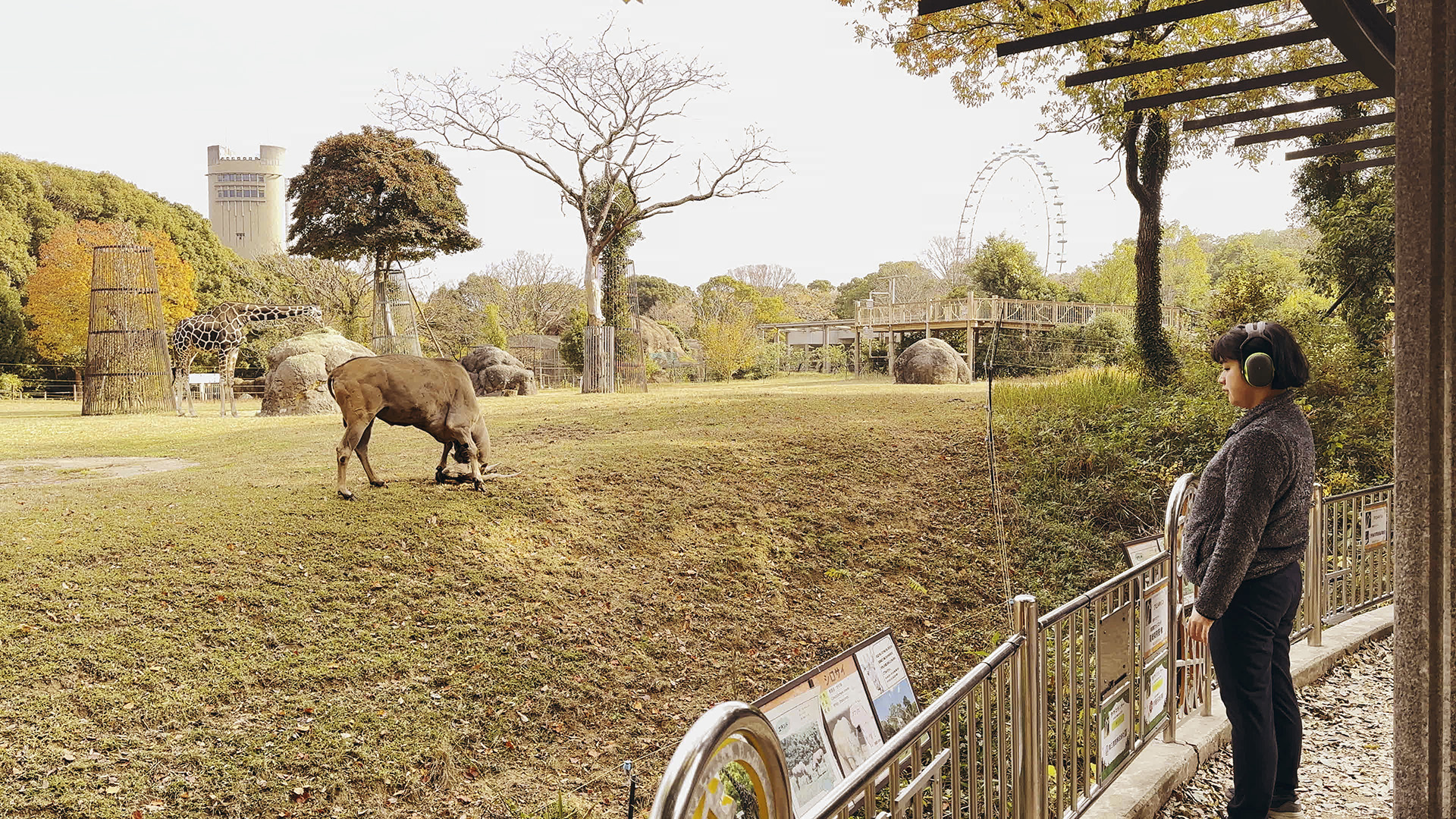 豊橋市のんほいパーク（豊橋総合動植物公園）